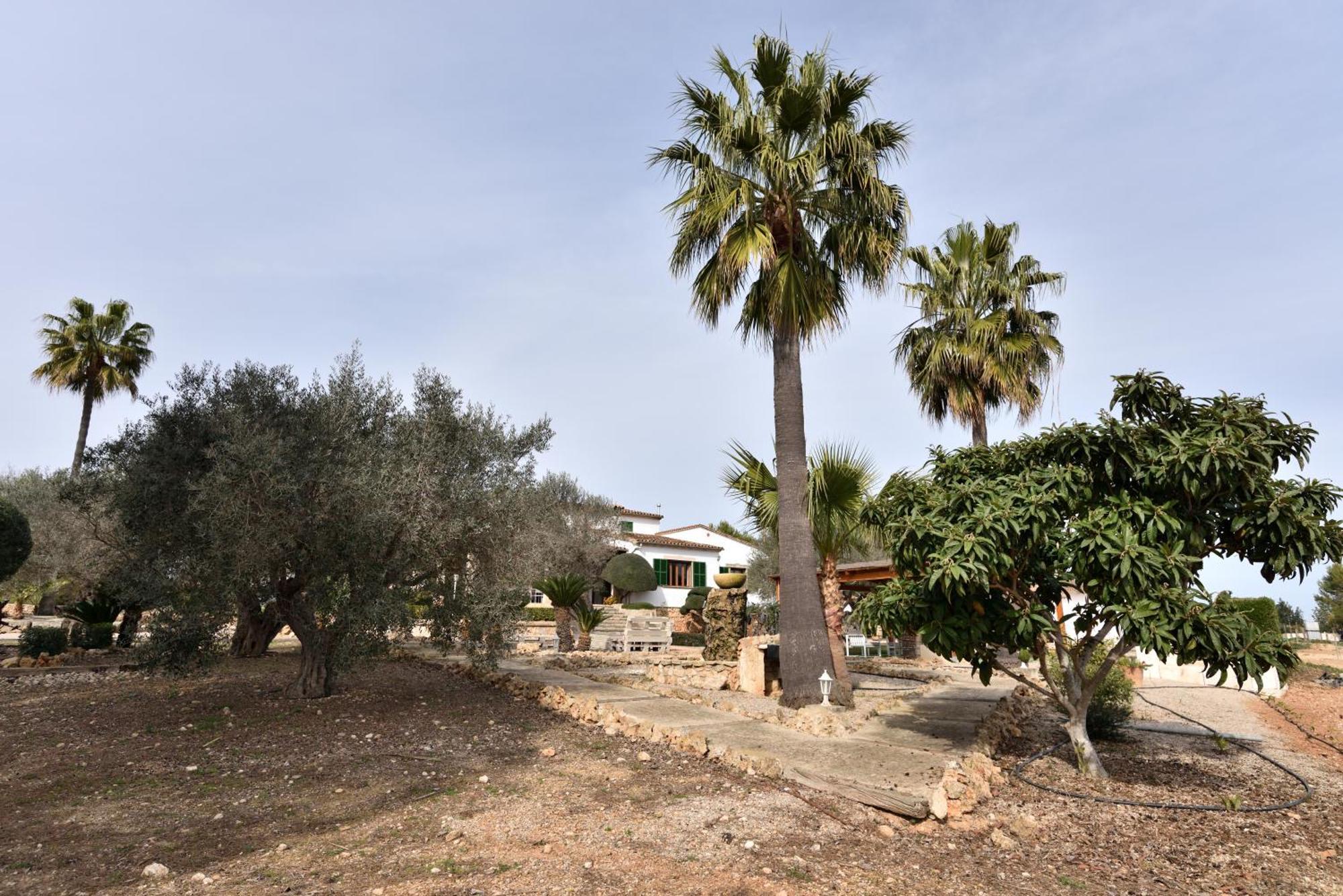 Sa Tanca Gran Villa ซีเนว ภายนอก รูปภาพ